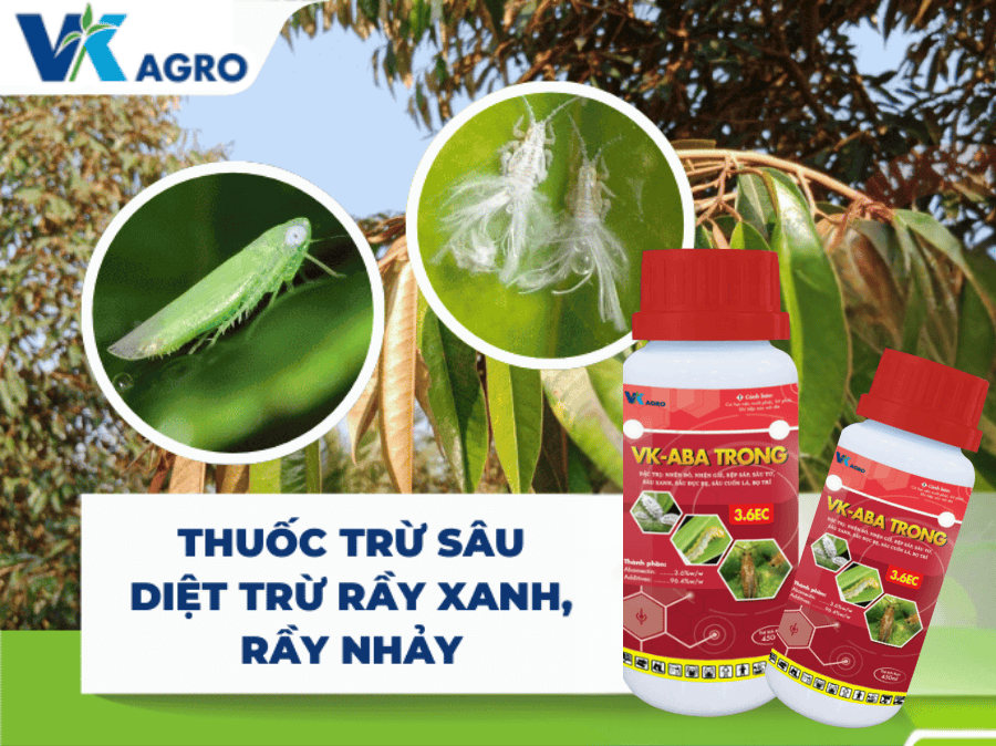 Thuốc trừ sâu VK - ABA TRONG