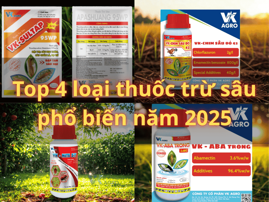 Top 4 loại thuốc trừ sâu phổ biến năm 2025