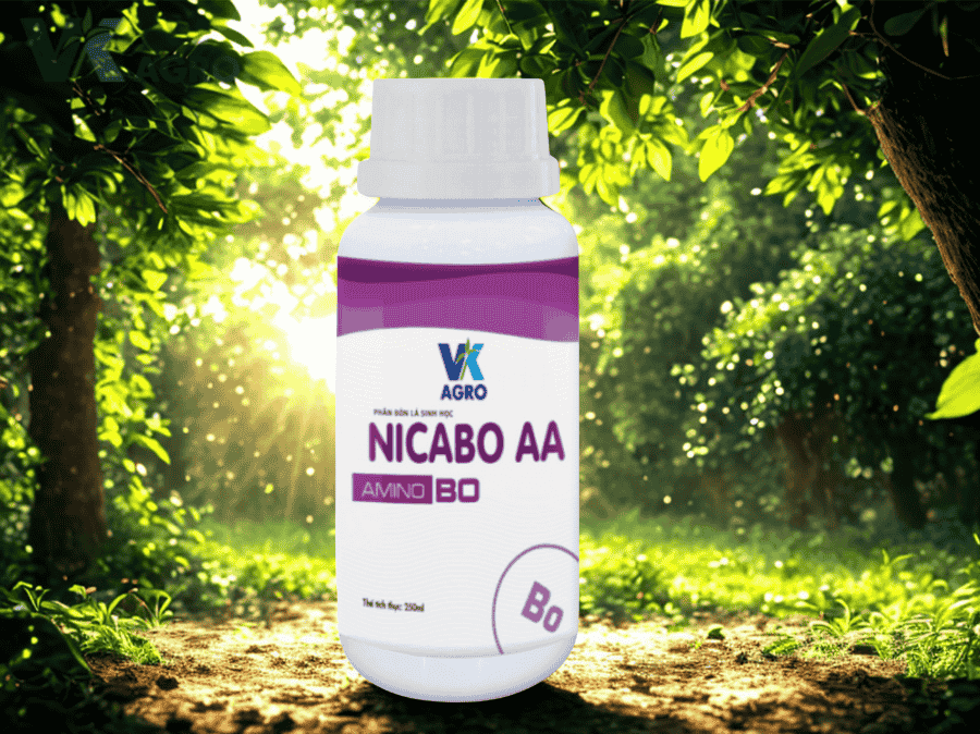 Top 5 loại phân bón lá sinh học được nông dân tin dùng năm 2025