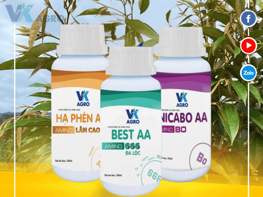 Top 5 loại phân bón lá sinh học được nông dân tin dùng năm 2025