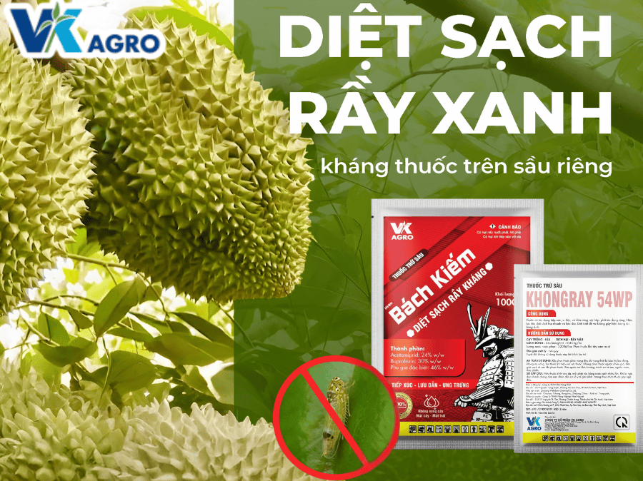 VK - BÁCH KIẾM (GÓI)