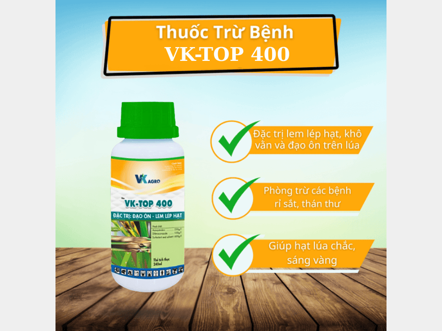 VK-TOP 400