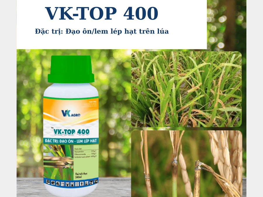 VK - TOP 400