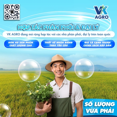 VK-TOP 400