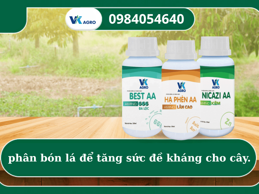 phân bón lá để tăng sức đề kháng cho cây.