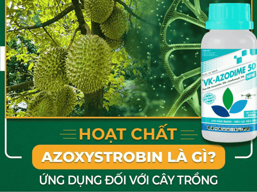  tác dụng của hoạt chất Azoxystrobin