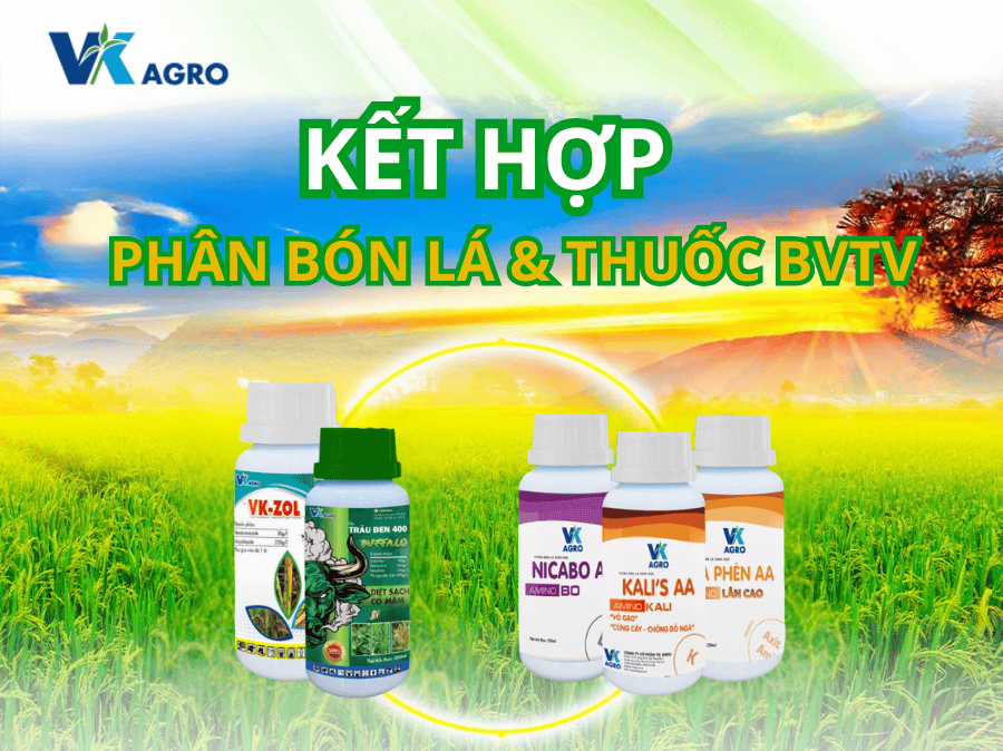 kinh nghiệm bón phân cho cây trồng