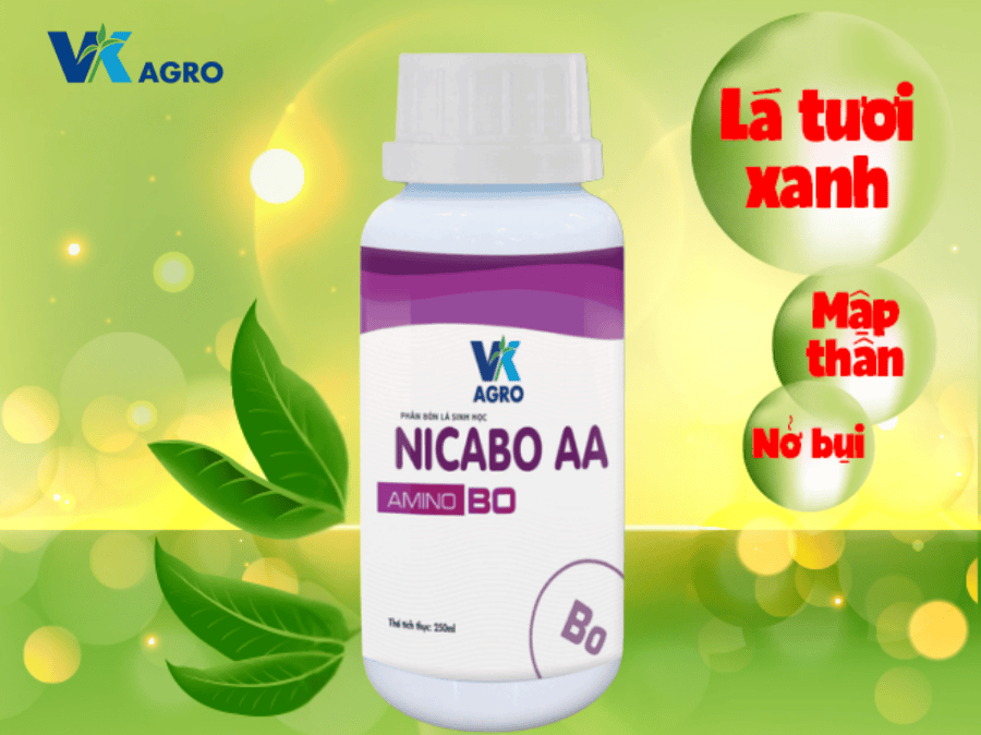 kinh nghiệm bón phân cho cây trồng