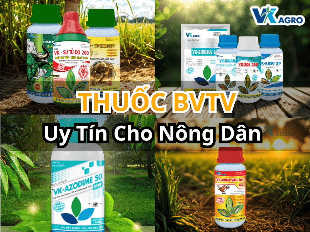 thuốc BVTV uy tín để vườn rau,  vườn trái luôn sạch