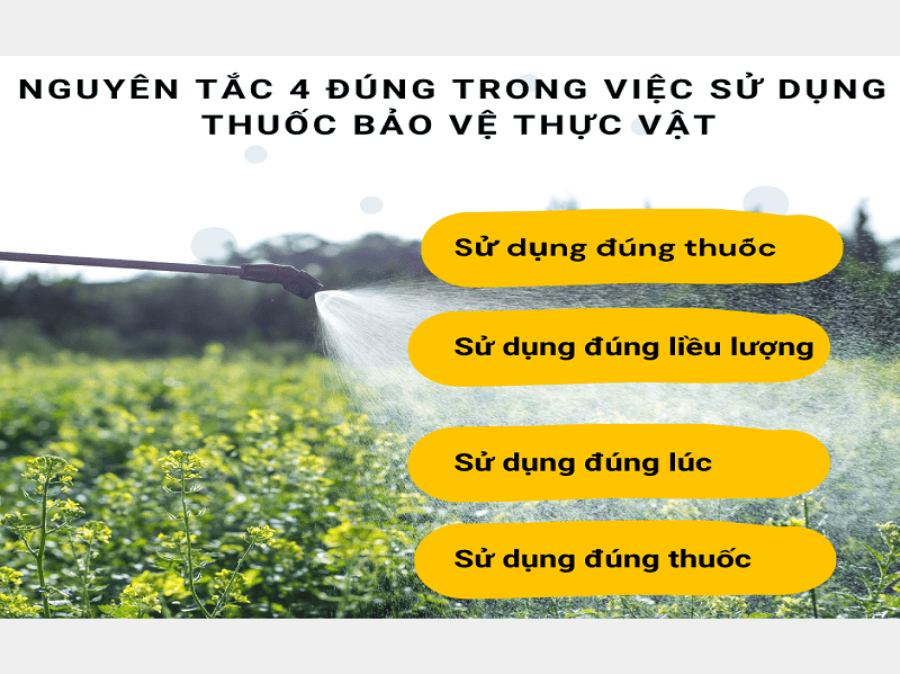 thuốc BVTV uy tín để vườn rau,  vườn trái luôn sạch