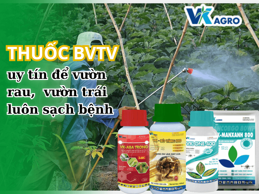 thuốc BVTV uy tín để vườn rau,  vườn trái luôn sạch
