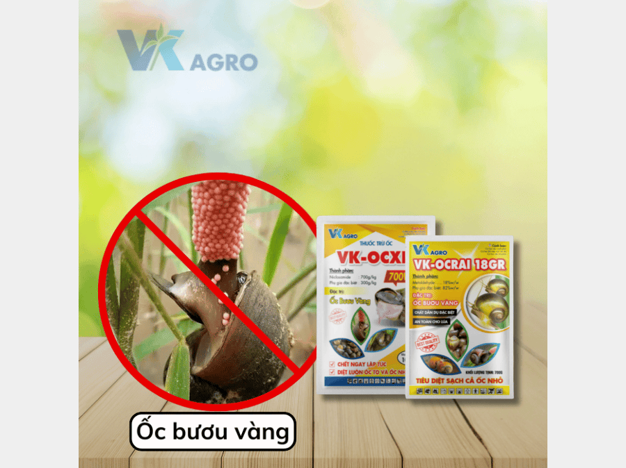 thuốc diệt ốc là gì? cách chọn chuẩn